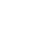 iconDT